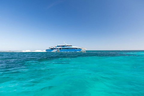 Rottnest Island Bike, Snorkel & Ferry Package From Perth - Hotel NSW 1