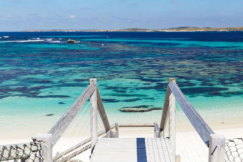 Rottnest Island Bike, Snorkel & Ferry Package From Perth - Hotel NSW 4