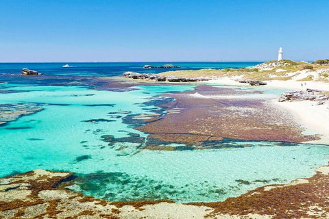 Rottnest Island Bike, Snorkel & Ferry Package From Perth - Hotel NSW 5