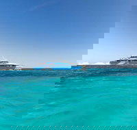 Rottnest Island Bayseeker Day Trip from Perth - Hotel NSW