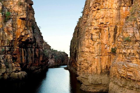 Kakadu Yellow Waters & Katherine Gorge Helicopter Scenic - Hotel NSW 3