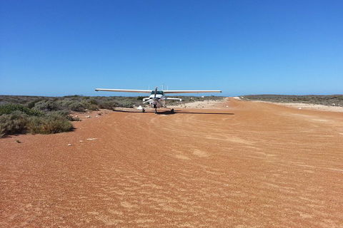 Abrolhos Islands Scenic Flight & Snorkel Adventure From Perth - Hotel NSW 3