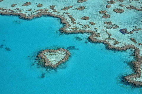 Reef And Island Scenic Flight From Airlie Beach - Hotel NSW 5