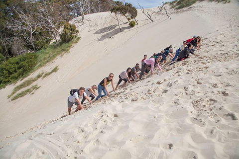 6-Day Tasmanian Explorer Adventure Tour From Hobart - Hotel NSW 2