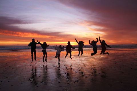 6-Day Tasmanian Explorer Adventure Tour From Hobart - Hotel NSW 3