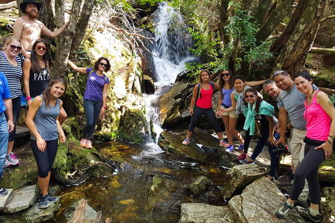 7-Day Super Value Tour Of Tasmania: Explore Tasmania's West And East Coasts - Hotel NSW 2