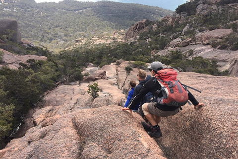 2-Day Tas East Coast Escape Tour Including Bay Of Fires, Wineglass Bay & Devils - Hotel NSW 2