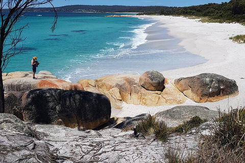 2-Day Tas East Coast Escape Tour Including Bay Of Fires, Wineglass Bay & Devils - Hotel NSW 4