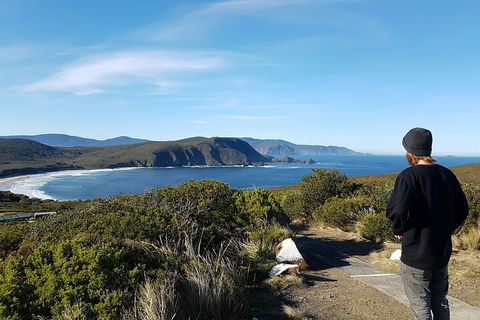 4-Day Fabulous Tasmania Tour: Wineglass Bay, Port Arthur, Devils & Bruny Island - Hotel NSW 0