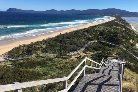 4-Day Fabulous Tasmania Tour: Wineglass Bay, Port Arthur, Devils & Bruny Island - Hotel NSW 5