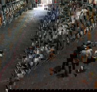 Wirra Wirra Vineyard McLaren Vale Winery Tour and Shiraz Masterclass - Hotel NSW