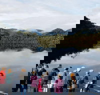 Gordon River Cruise departing from Strahan - Hotel NSW