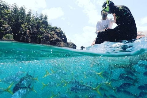 2 Night Small Group Whitsundays Sailing Adventure Aboard Mandrake - Hotel NSW 5
