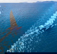 2-Night Whitsunday Islands Sailing Adventure on Trimaran Avatar - Hotel NSW
