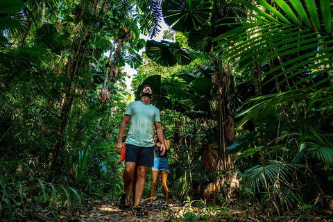 Full Day Daintree Rainforest And Mossman Gorge Tour - Hotel NSW 0