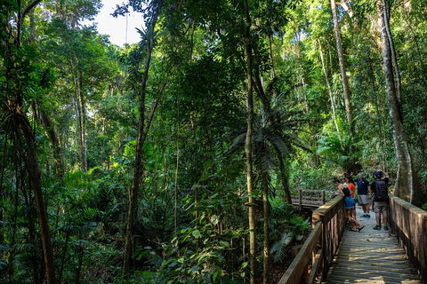 Full Day Daintree Rainforest And Mossman Gorge Tour - Hotel NSW 5