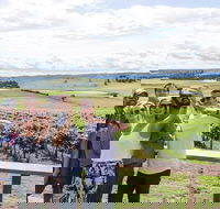 Private Tour of Melbourne - Hotel NSW