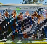 Full Day Mount Tamborine Winery Tour from Gold Coast - Hotel NSW