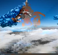 Reef and Rainforest Tandem Sky Dive in Cairns - Hotel NSW