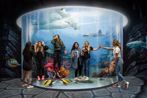 ArtVo Immersive Gallery Experience - Hotel NSW 2