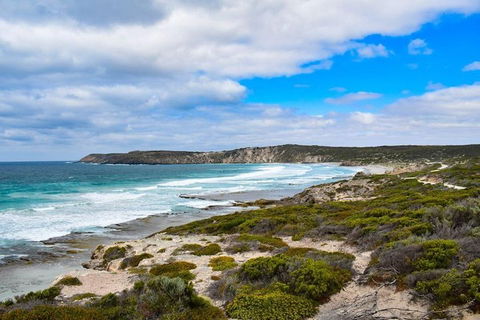 Kangaroo Island Luxury Small Group 'East End Explorer' Full Day Tour - Hotel NSW 0