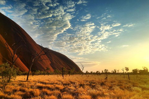 Highlights Of Uluru Including Sunrise And Breakfast - Hotel NSW 0