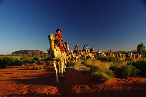 Uluru Small-Group Tour By Camel At Sunrise Or Sunset - Hotel NSW 1