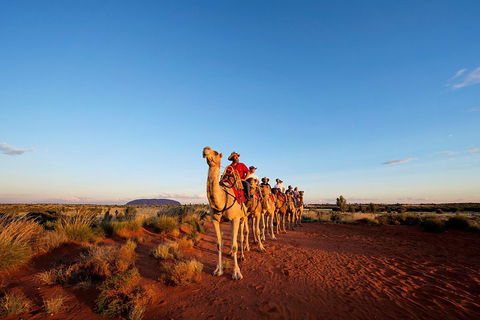 Uluru Small-Group Tour By Camel At Sunrise Or Sunset - Hotel NSW 3