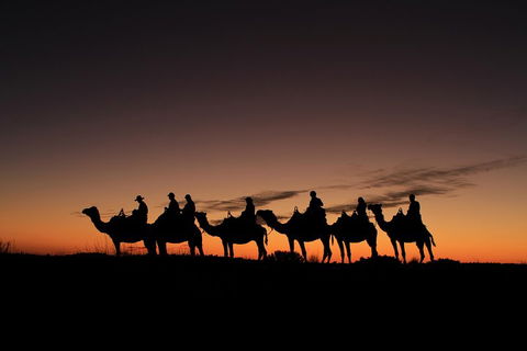 Uluru Small-Group Tour By Camel At Sunrise Or Sunset - Hotel NSW 4