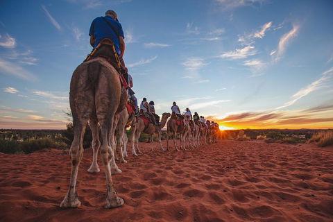 Uluru Small-Group Tour By Camel At Sunrise Or Sunset - Hotel NSW 5