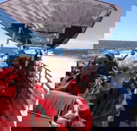 Adventure Rottnest Tour with Ferry  Adventure Cruise from Perth or Fremantle - Hotel NSW