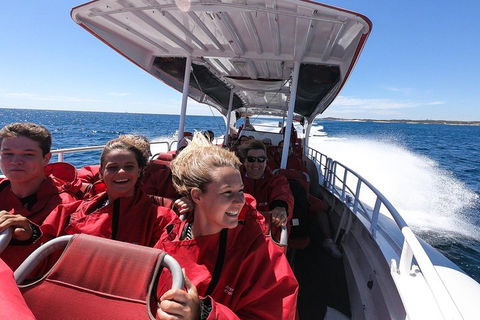 Adventure Rottnest Tour With Ferry & Adventure Cruise From Perth Or Fremantle - Hotel NSW 0