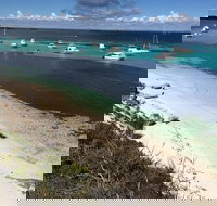 Experience Rottnest with Ferry  Bike Hire from Perth or Fremantle - Hotel NSW