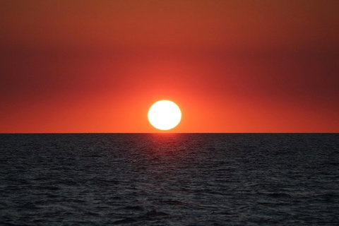 Roebuck Bay Snubfin Dolphin Cruise - Hotel NSW 3