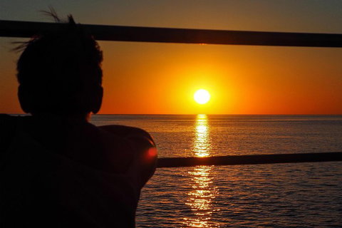 Roebuck Bay Snubfin Dolphin Cruise - Hotel NSW 4