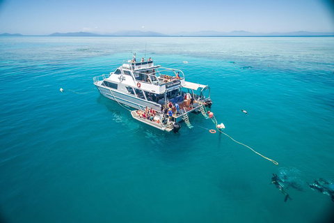Ocean Freedom Great Barrier Reef Personal Luxury Snorkel & Dive Cruise, Cairns - Hotel NSW 0