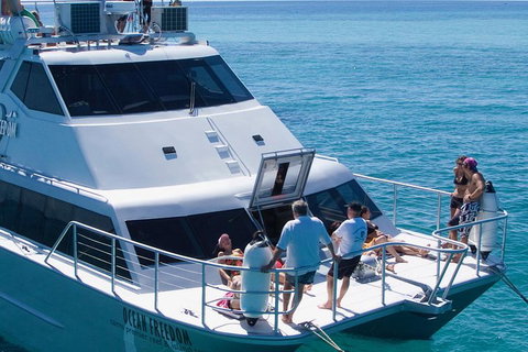 Ocean Freedom Great Barrier Reef Personal Luxury Snorkel & Dive Cruise, Cairns - Hotel NSW 1
