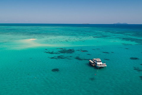 Ocean Freedom Great Barrier Reef Personal Luxury Snorkel & Dive Cruise, Cairns - Hotel NSW 2