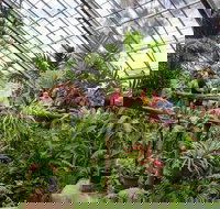 Australian Butterfly Sanctuary - Hotel NSW