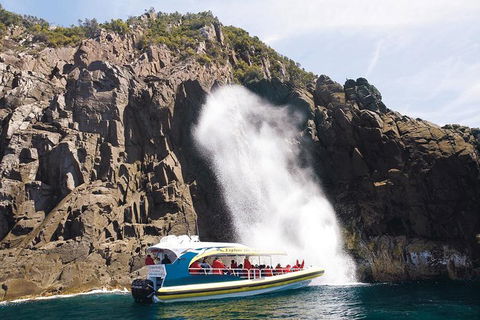 Full-Day Bruny Island Cruises Day Tour From Hobart - Hotel NSW 4
