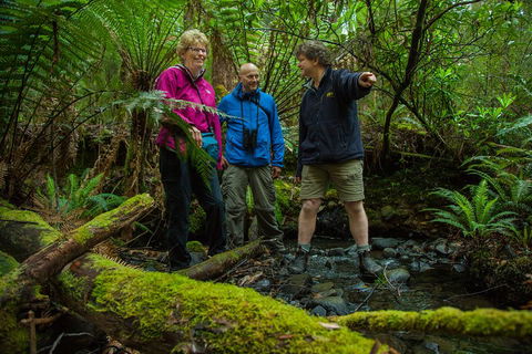 Bruny Island Traveller - Gourmet Tasting And Sightseeing Day Trip From Hobart - Hotel NSW 1
