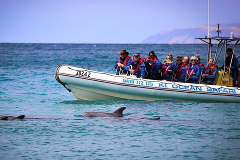 Kangaroo Island 75-Minute Ocean Safari - Hotel NSW 4