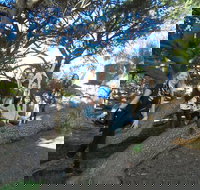 1/2 day Swan Valley Wine Cheese  Chocolate Tour Inc Afternoon Cruise to Perth - Hotel NSW