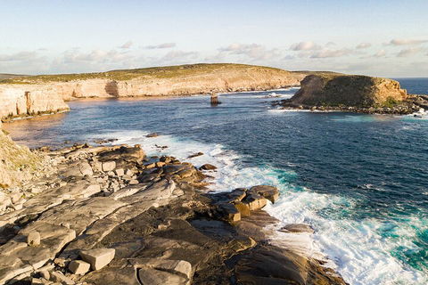 One Day Port Lincoln Tour - Tasting Eyre - Hotel NSW 3