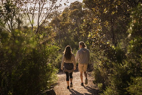 One Day Port Lincoln Tour - Tasting Eyre - Hotel NSW 5
