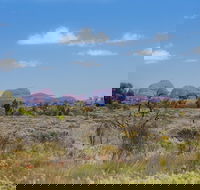 Overnight Uluru Ayers Rock Small-Group Camping Tour - Hotel NSW