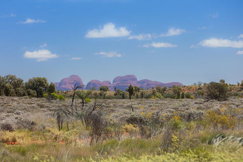 Overnight Uluru (Ayers Rock) Small-Group Camping Tour - Hotel NSW 0