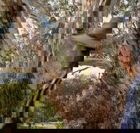 NEW TOUR - Kangaroo Island Road to Recovery Tour 1 Day/1 Night - Hotel NSW