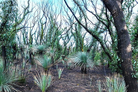 NEW TOUR - Kangaroo Island Road To Recovery Tour (1 Day/1 Night) - Hotel NSW 3