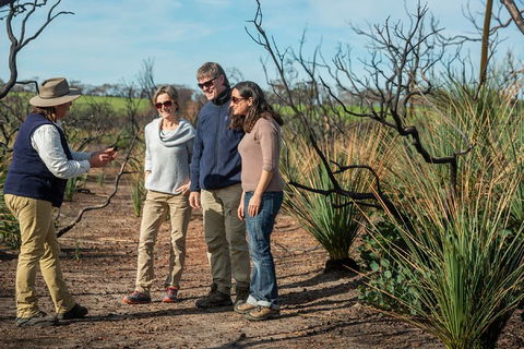 NEW TOUR - Kangaroo Island Road To Recovery Tour (1 Day/1 Night) - Hotel NSW 4